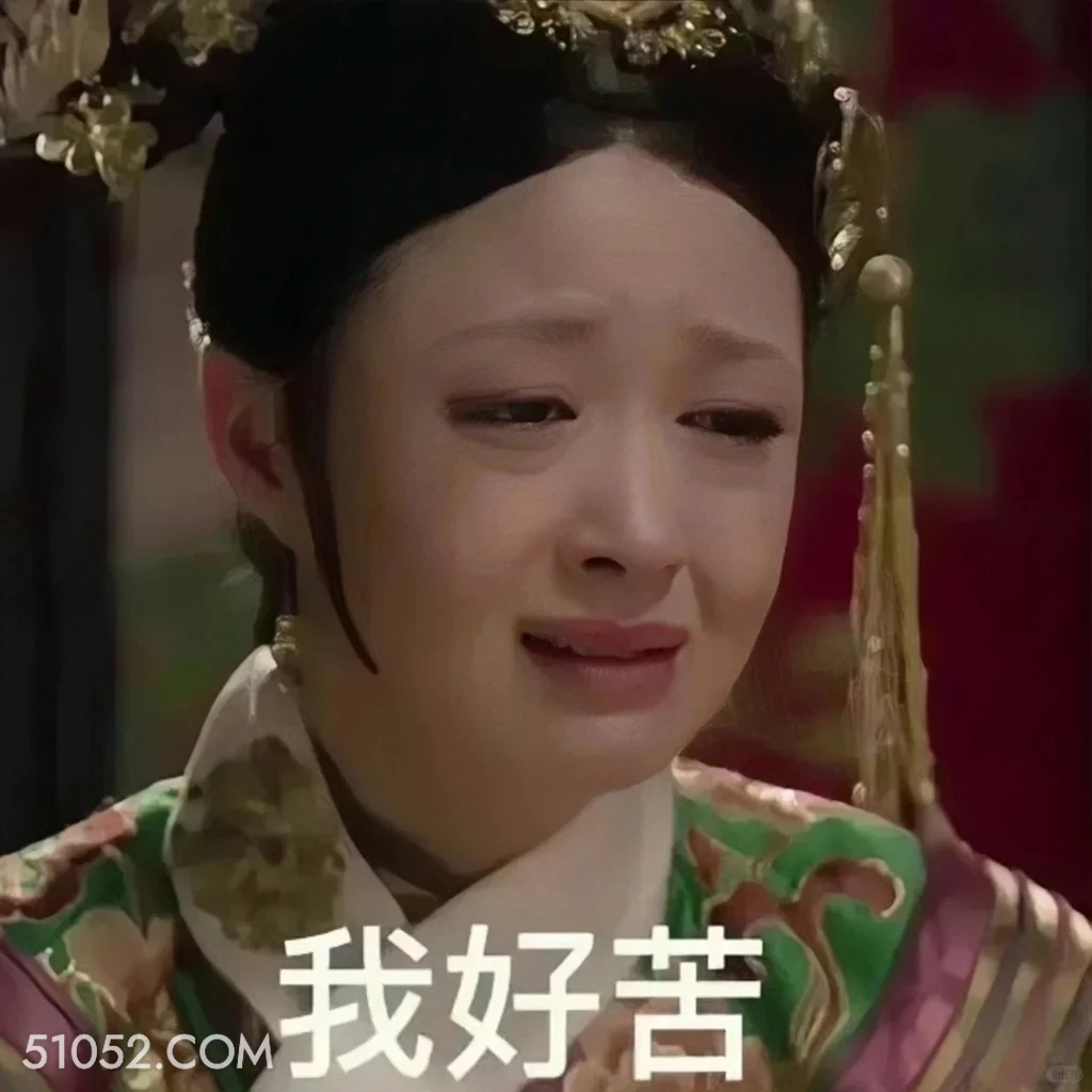 我好苦 甄嬛传 影视追剧 孙俪 雍正帝 搞笑表情