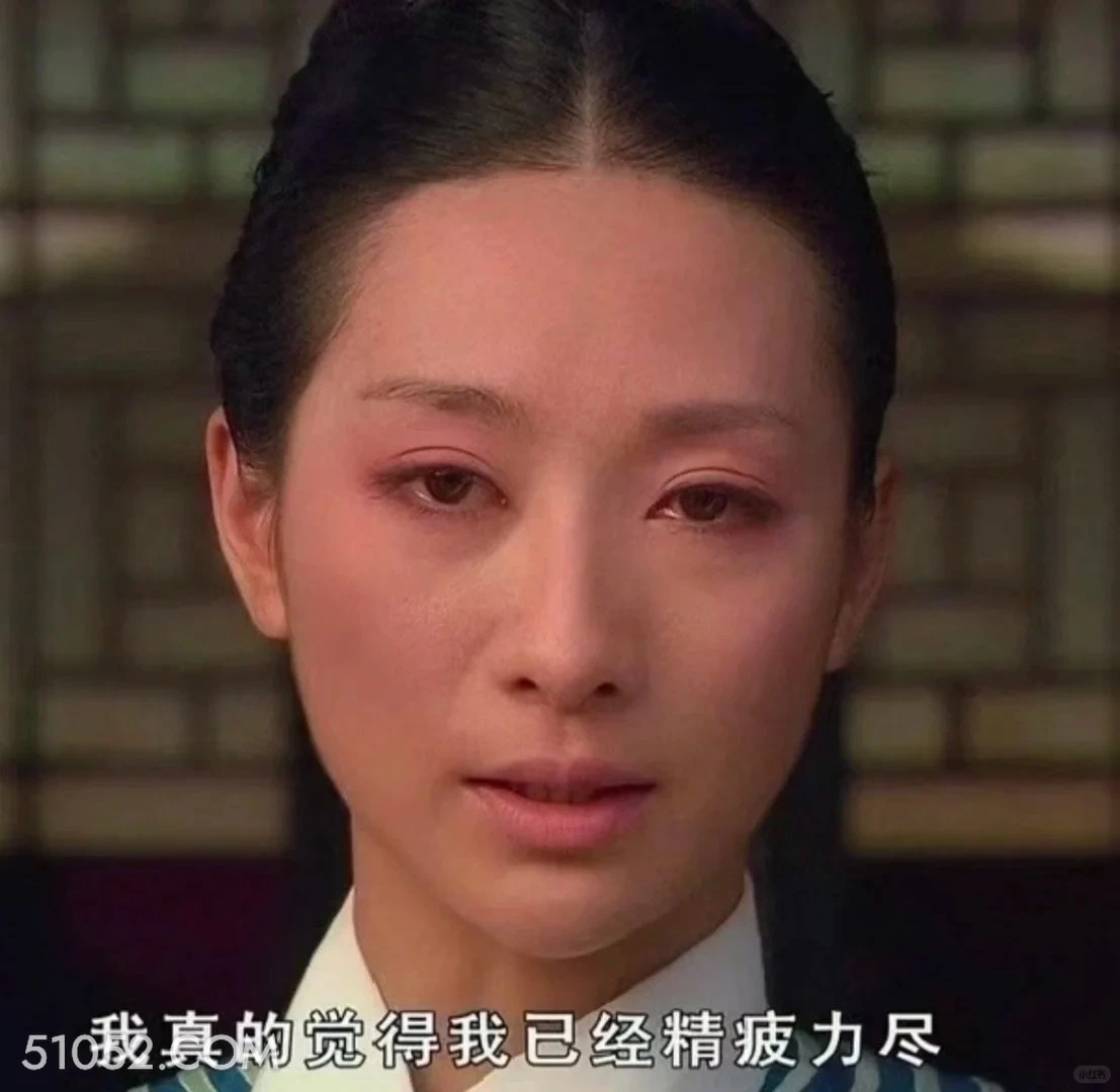 我已经筋疲力尽 甄嬛传 影视追剧 孙俪 雍正帝 搞笑表情