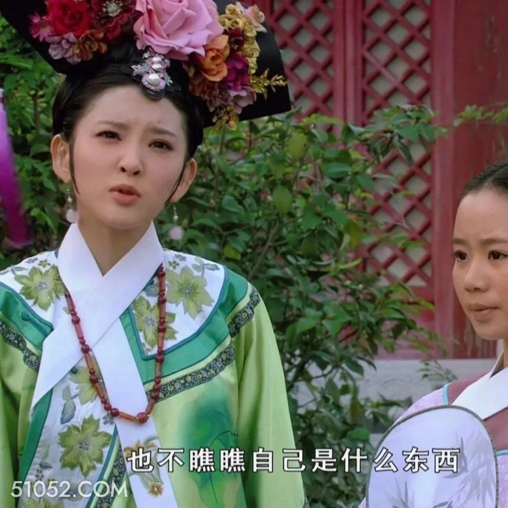 也不瞧瞧自己是什么东西 甄嬛传 影视追剧 雍正帝 孙俪 搞笑表情