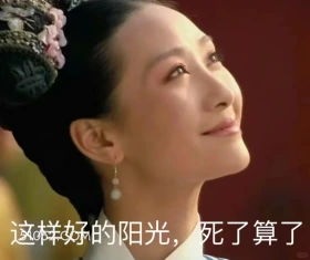 死了算了 甄嬛传 影视追剧 雍正帝 孙俪 搞笑表情