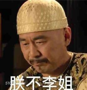 朕不理解 甄嬛传 影视追剧 搞笑表情 雍正帝 孙俪