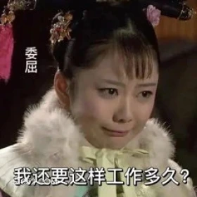 我还要这样工作多久 甄嬛传 影视追剧 雍正 搞笑表情