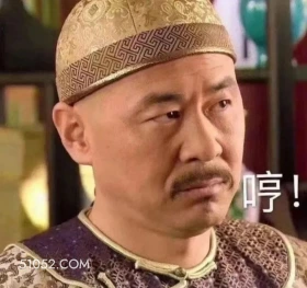 哼 甄嬛传 影视追剧 雍正帝 孙俪 搞笑表情