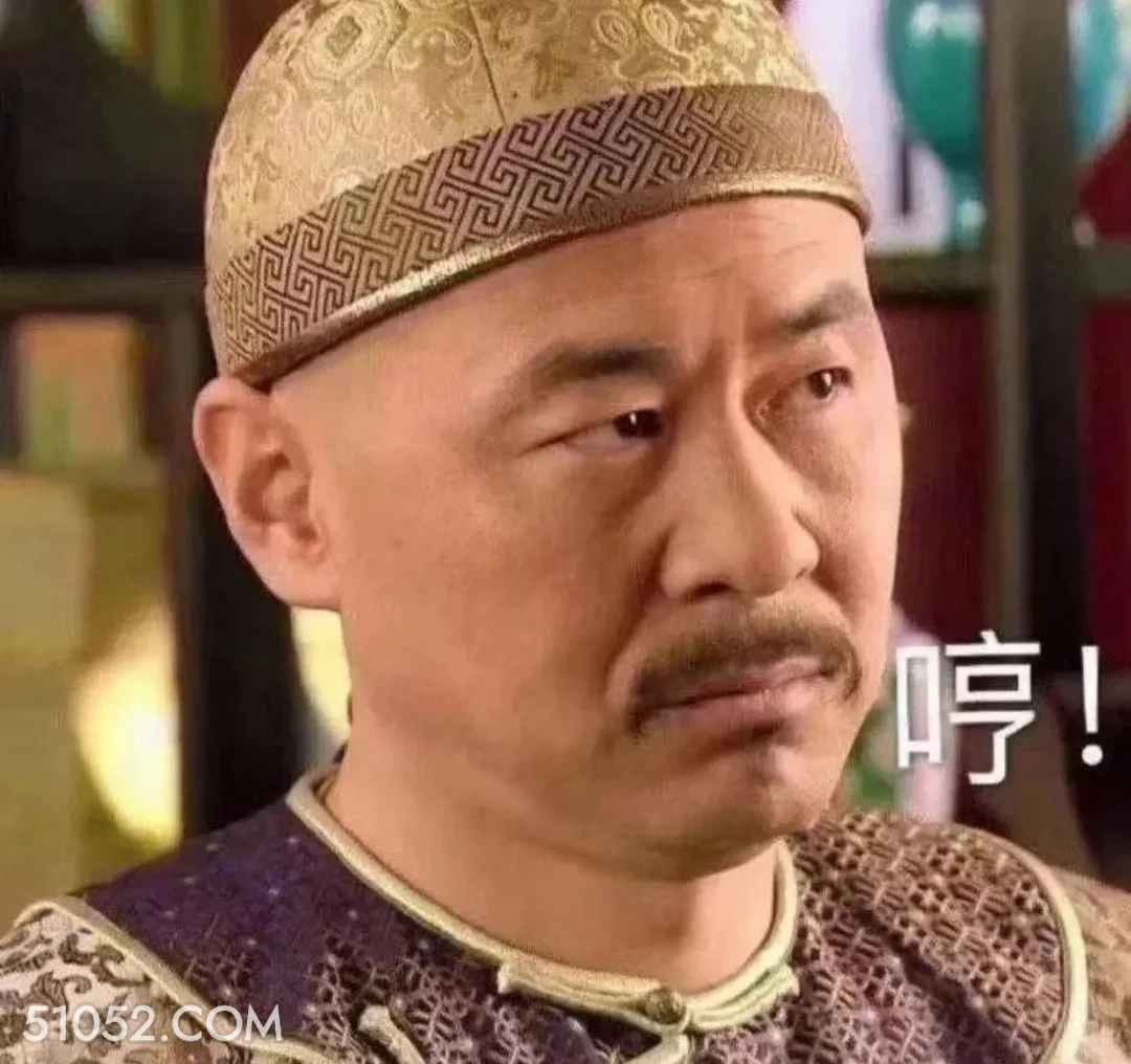 哼 甄嬛传 影视追剧 雍正帝 孙俪 搞笑表情