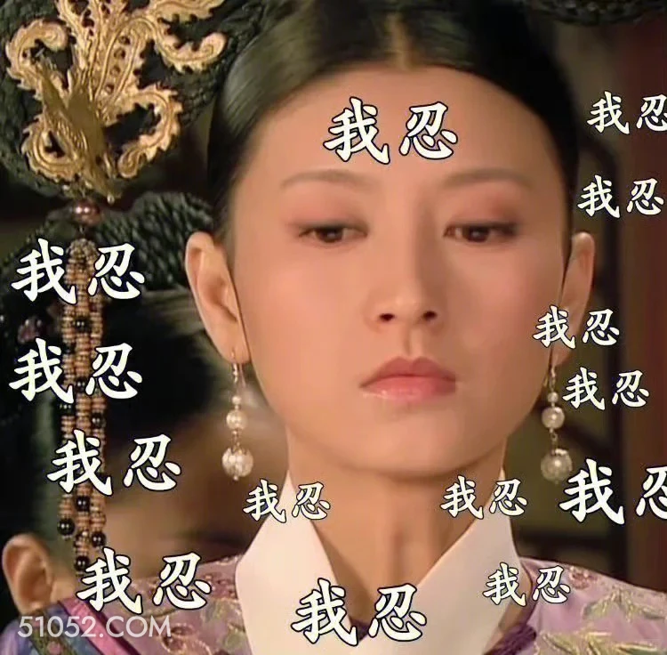 我忍 甄嬛传 影视追剧 雍正帝 孙俪 搞笑表情