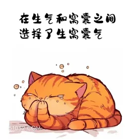 在生气和窝囊间选择生窝囊气 猫猫 合理但有病 搞笑文案