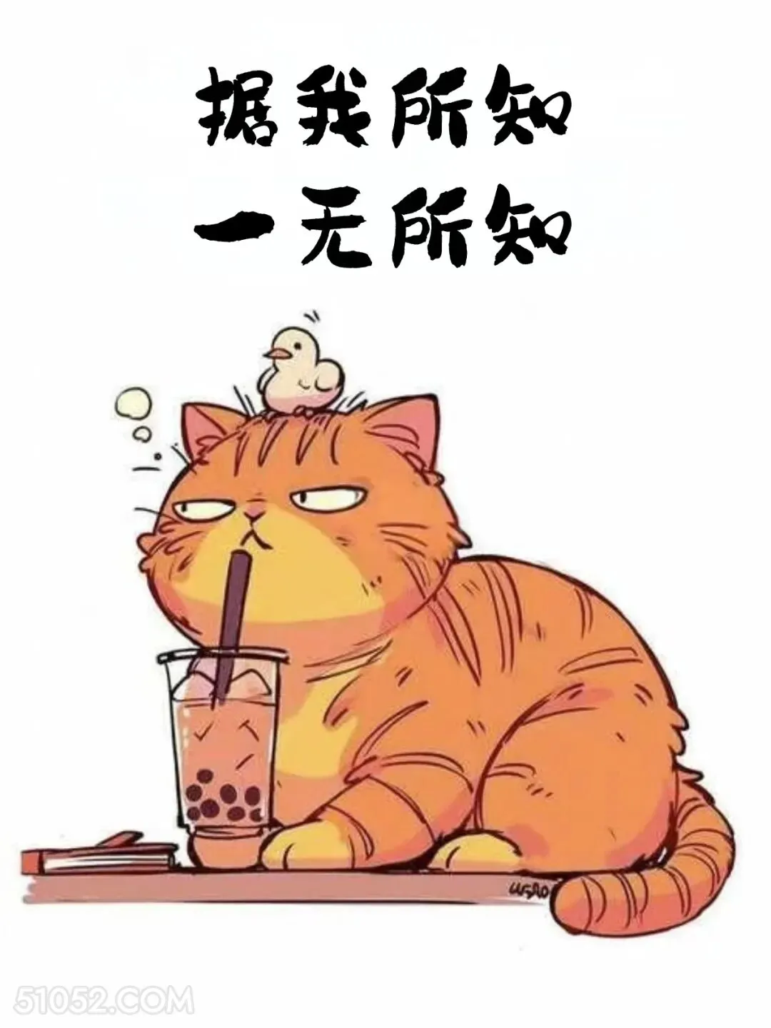 据我所知我一无所知 猫猫 歪理 搞笑文案