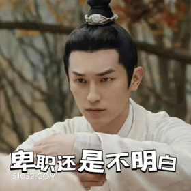 卑职还是不明白 唐朝诡事录 影视剧 杨旭文 杨志刚 搞笑表情