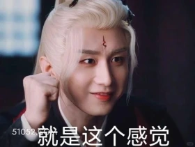 就是这个感觉 天地剑心 影视剧 成毅  李一桐 搞笑表情