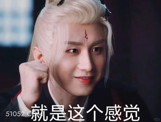 就是这个感觉 天地剑心 影视剧 成毅  李一桐 搞笑表情