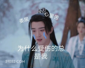 为什么受伤的总是我 重紫 影视剧 杨超越 马闻远 搞笑表情