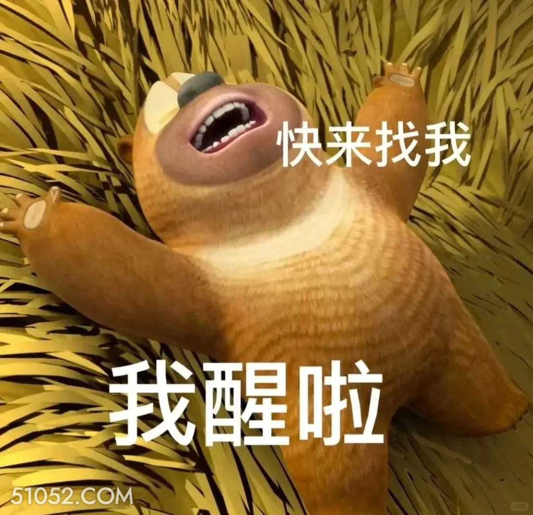 我醒啦 熊出没 动画片 熊大熊二 光头强 搞笑表情