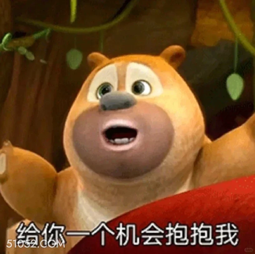 给你个抱我的机会 熊出没 动画片 熊大熊二 光头强 搞笑表情