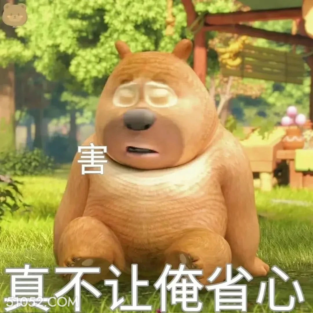 真不让人省心 熊出没 动画片 熊大熊二 光头强 搞笑表情