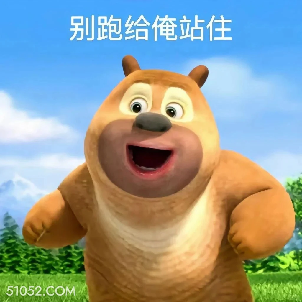 别跑 熊出没 动画片 熊大熊二 光头强 搞笑表情