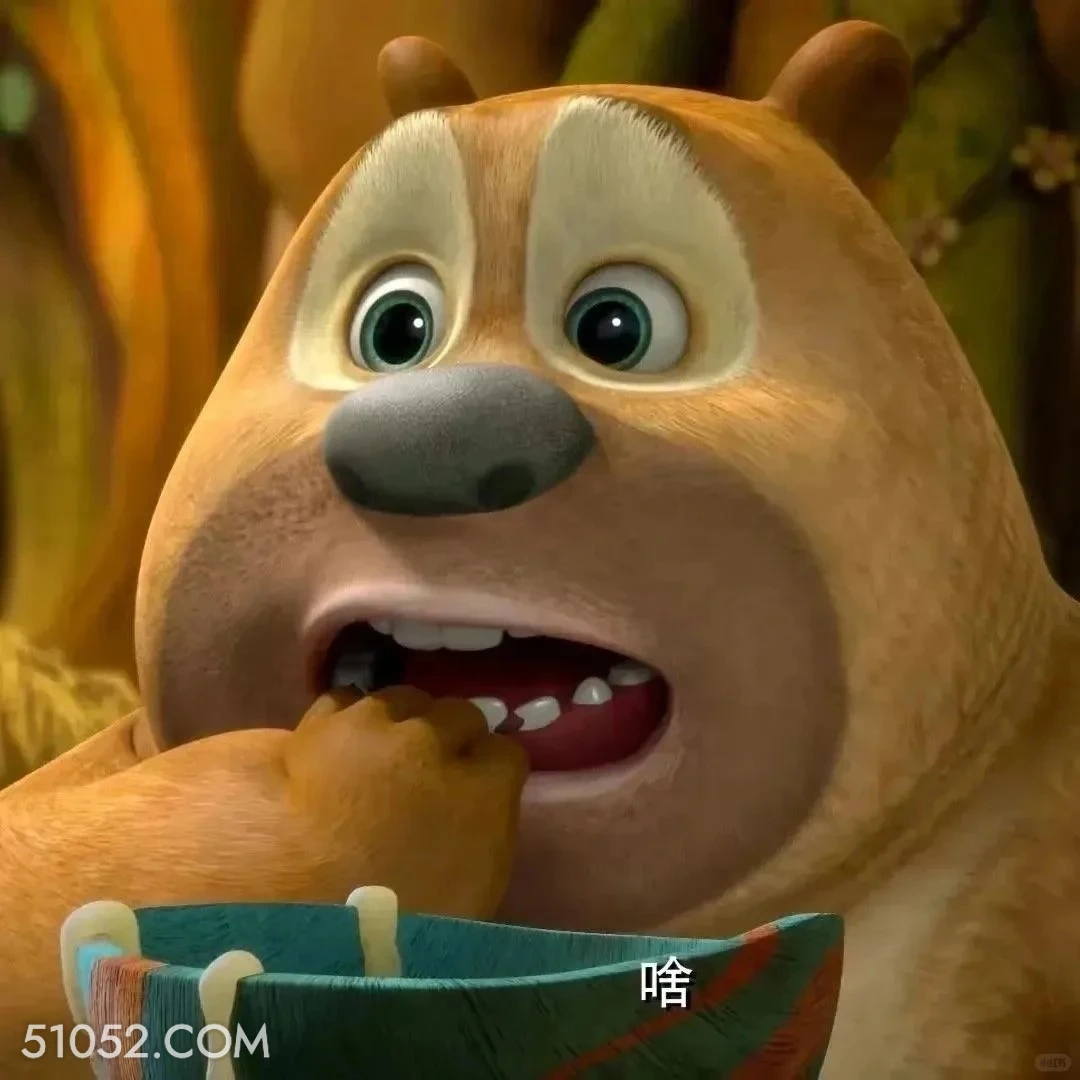 啥 熊出没 动画片 熊大熊二 光头强 搞笑表情
