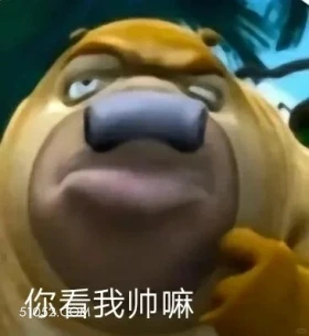 你看我帅吗 熊出没 动画片 熊大熊二 光头强 搞笑表情