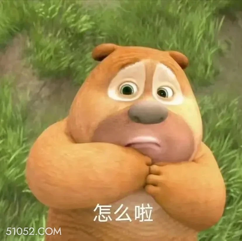 怎么啦 熊出没 动画片 熊大熊二 光头强 搞笑表情