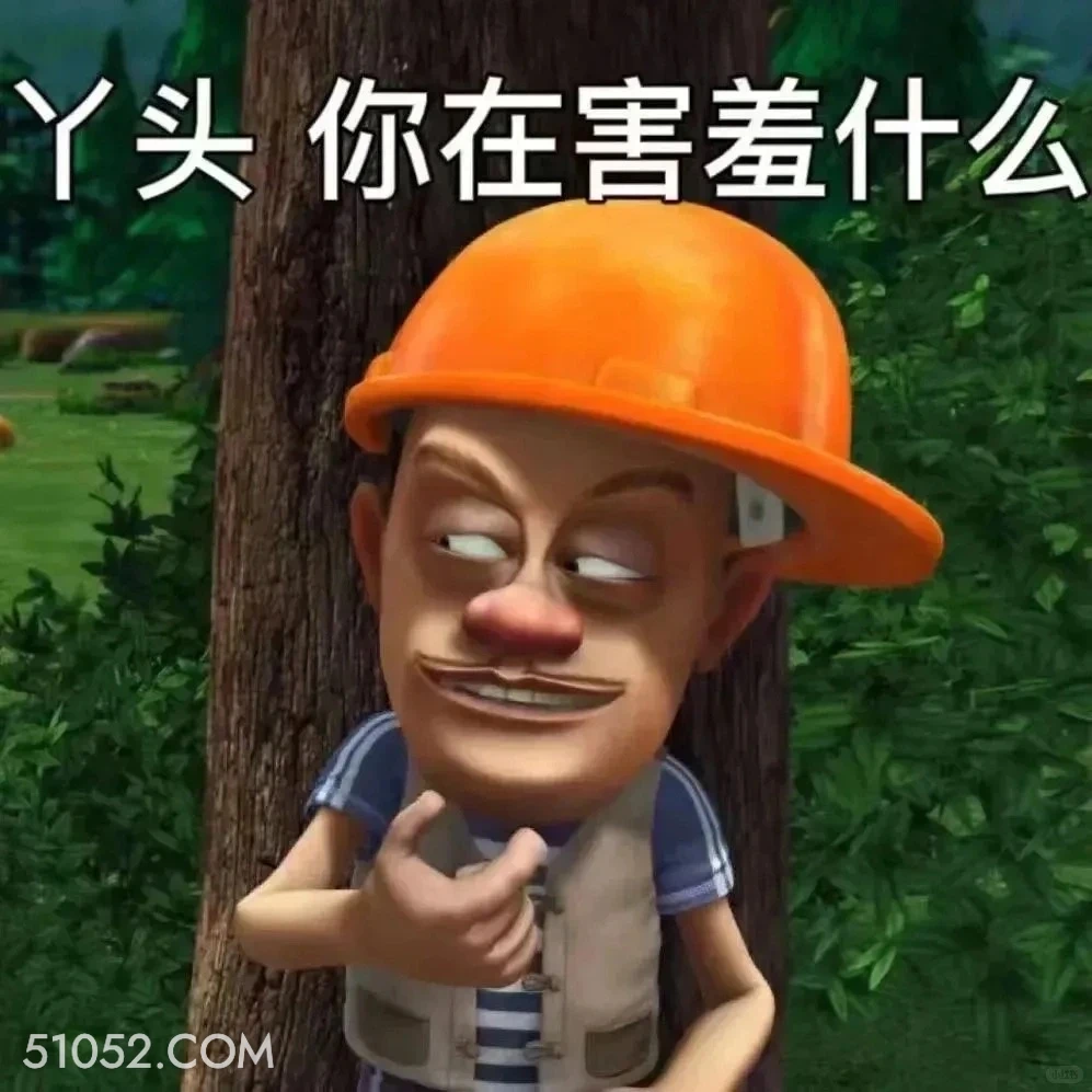 你在害羞什么 熊出没 动画片 熊大熊二 光头强 搞笑表情