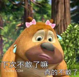下次不敢了 熊出没 动画片 熊大熊二 光头强 搞笑表情