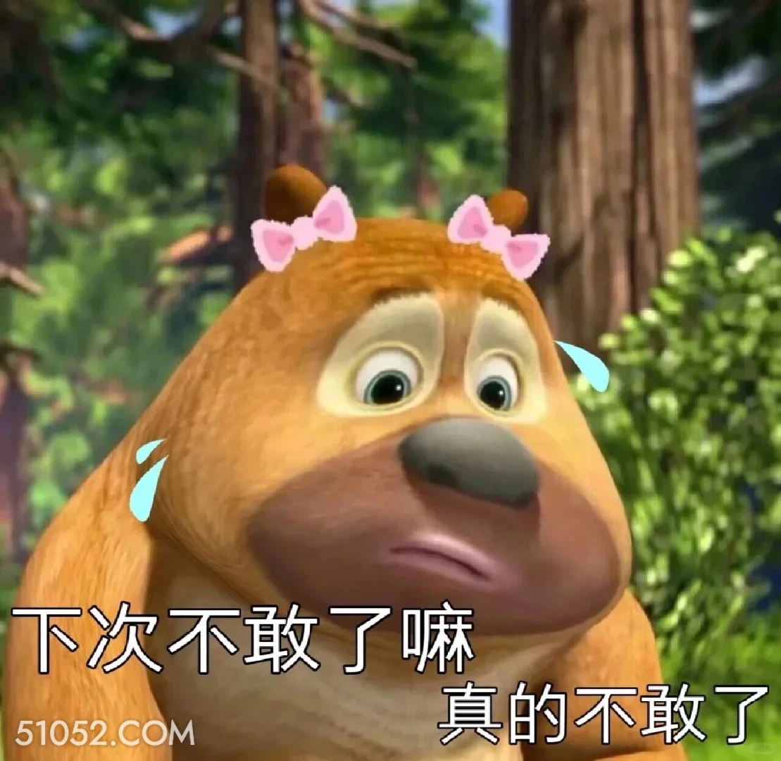 下次不敢了 熊出没 动画片 熊大熊二 光头强 搞笑表情