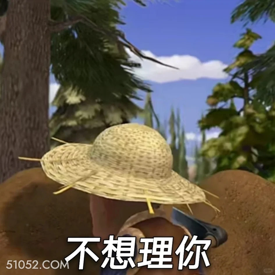 不想理你 熊出没 动画片 熊大熊二 光头强 搞笑表情