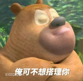 不想搭理你 熊出没 动画片 熊大熊二 光头强 搞笑表情