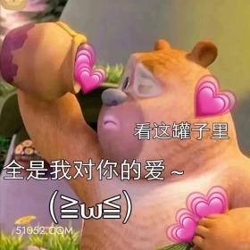 罐子里全是对你的爱 熊出没 动画片 熊大熊二 光头强 搞笑表情