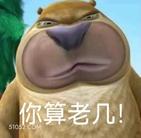 你算老几 熊出没 动画片 熊大熊二 光头强 搞笑表情