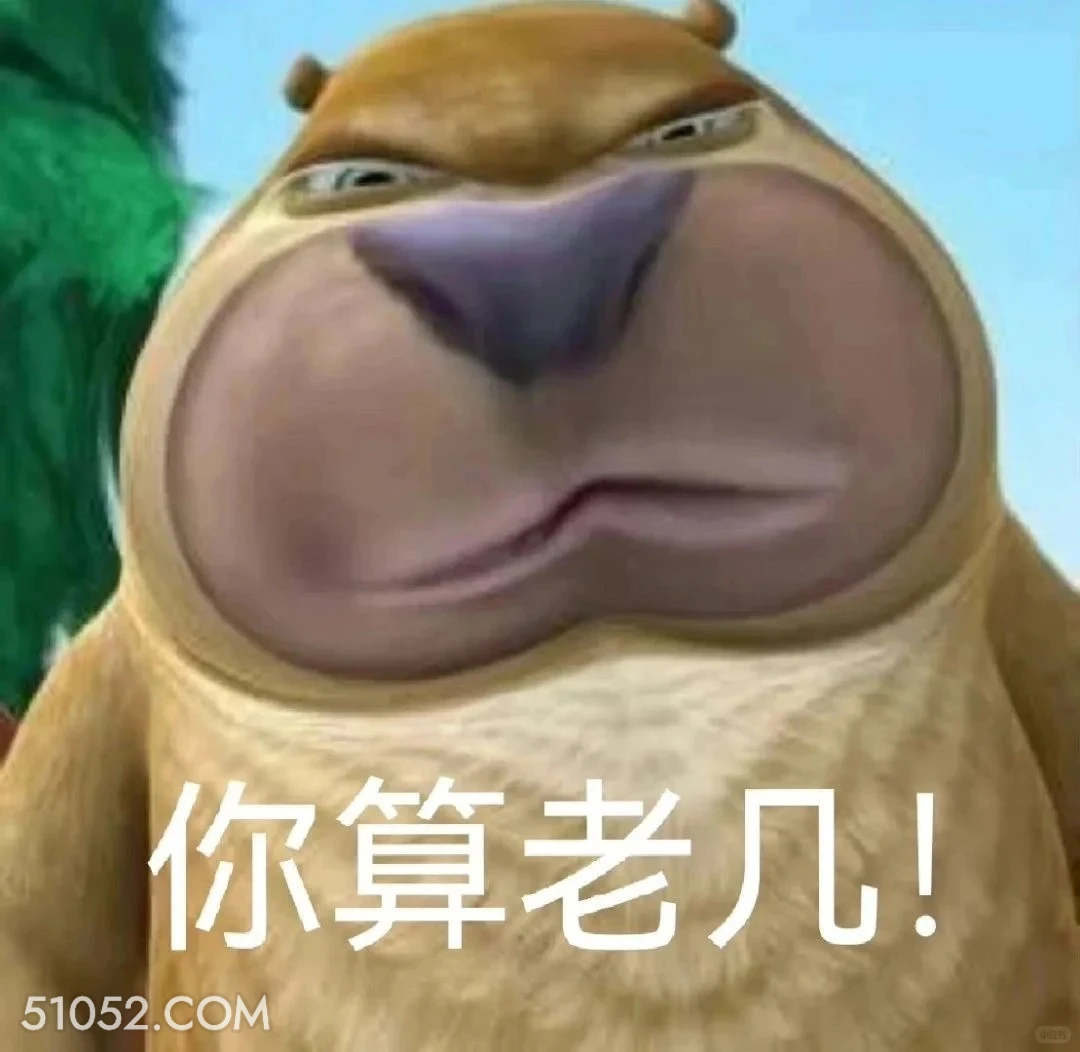 你算老几 熊出没 动画片 熊大熊二 光头强 搞笑表情