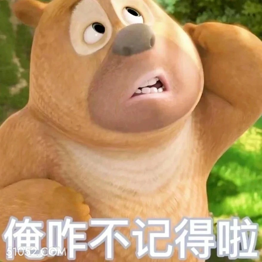 俺不记得了 熊出没 动画片 熊大熊二 光头强 搞笑表情