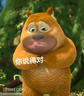 你说得对 熊出没 动画片 熊大熊二 光头强 搞笑表情