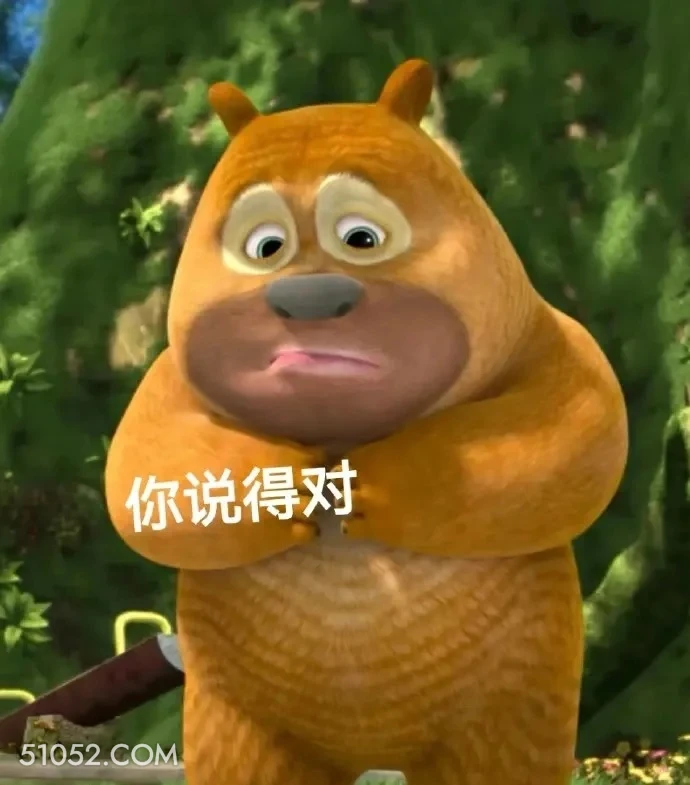 你说得对 熊出没 动画片 熊大熊二 光头强 搞笑表情