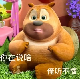 你在说啥，听不懂 熊出没 动画片 熊大熊二 光头强 搞笑表情
