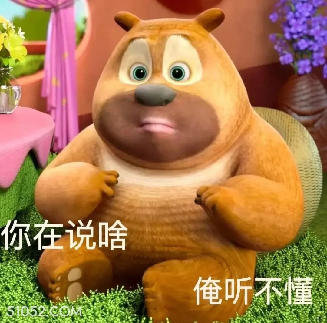 你在说啥，听不懂 熊出没 动画片 熊大熊二 光头强 搞笑表情