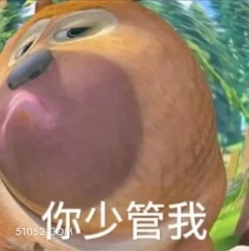 你少管我 熊出没 动画片 熊大熊二 光头强 搞笑表情