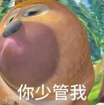 你少管我 熊出没 动画片 熊大熊二 光头强 搞笑表情
