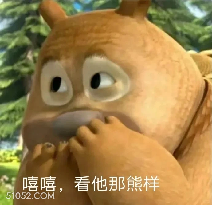 看他那熊样 熊出没 动画片 熊大熊二 光头强 搞笑表情