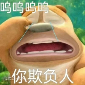 你欺负人 熊出没 动画片 熊大熊二 光头强 搞笑表情