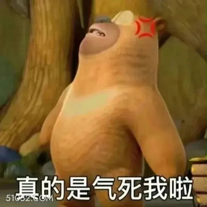 气死我了 熊出没 动画片 熊大熊二 光头强 搞笑表情