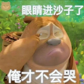 熊出没 熊出没 动画片 熊大熊二 光头强 搞笑表情