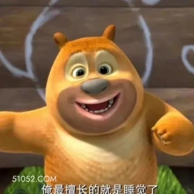 熊出没 熊出没 动画片 熊大熊二 光头强 搞笑表情