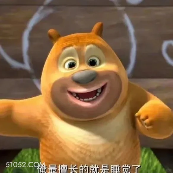 俺最擅长睡觉 熊出没 动画片 熊大熊二 光头强 搞笑表情