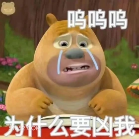 为什么要凶我 熊出没 动画片 熊大熊二 光头强 搞笑表情