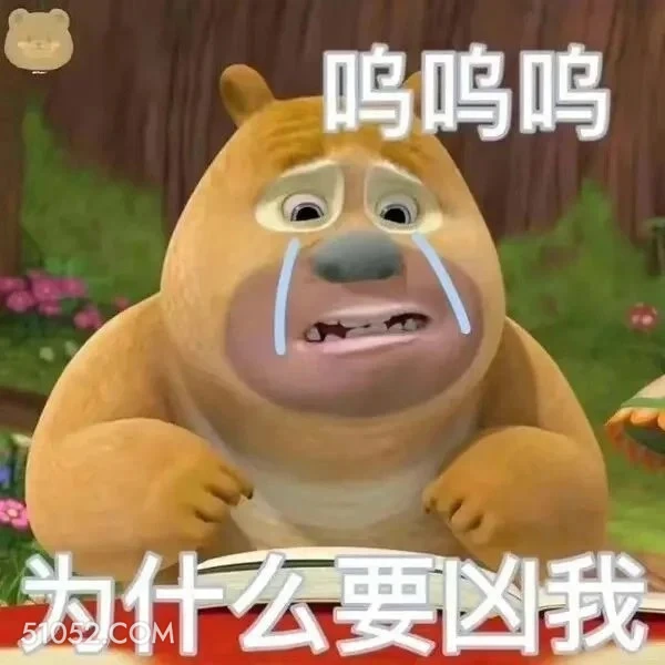 为什么要凶我 熊出没 动画片 熊大熊二 光头强 搞笑表情