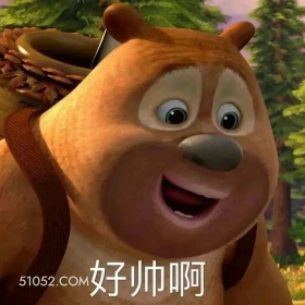 好帅啊 熊出没 动画片 熊大熊二 光头强 搞笑表情