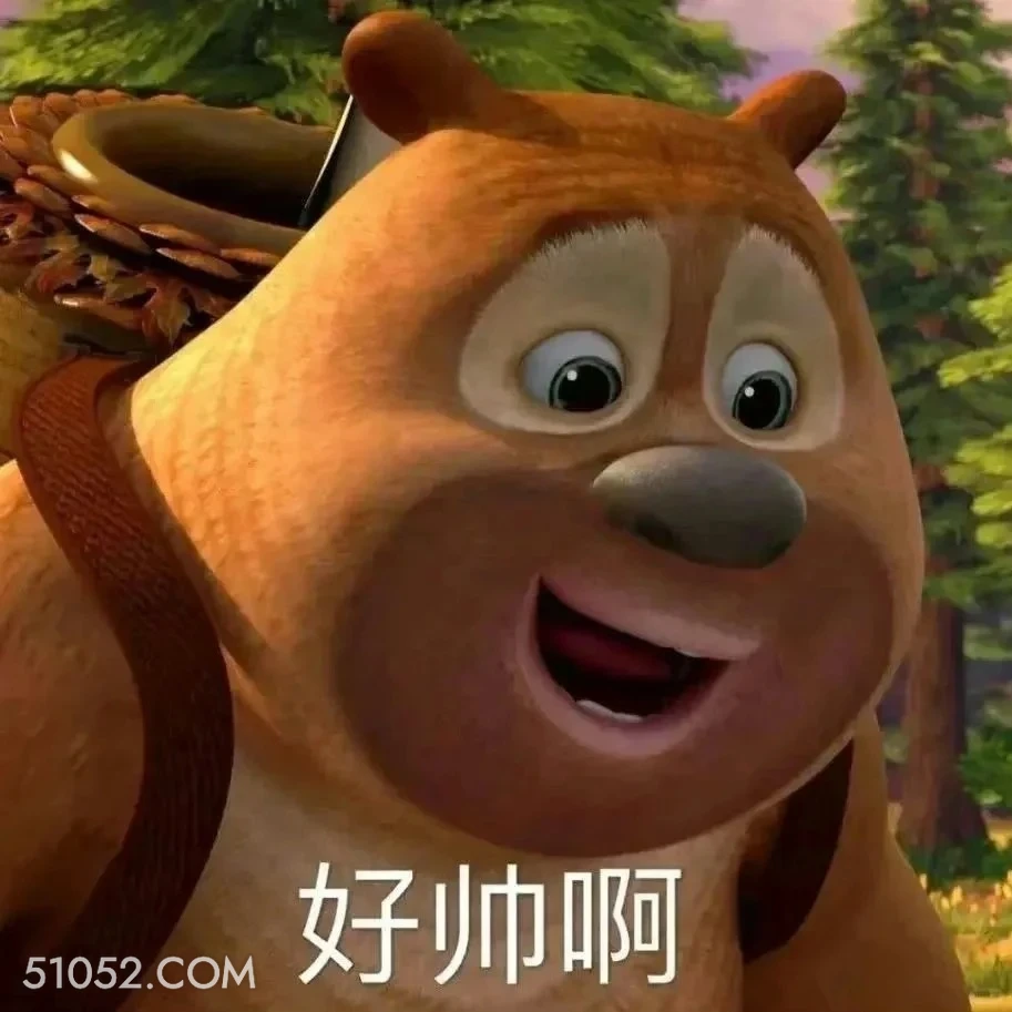 好帅啊 熊出没 动画片 熊大熊二 光头强 搞笑表情