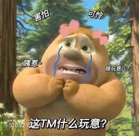 这什么玩意 熊出没 动画片 熊大熊二 光头强 搞笑表情