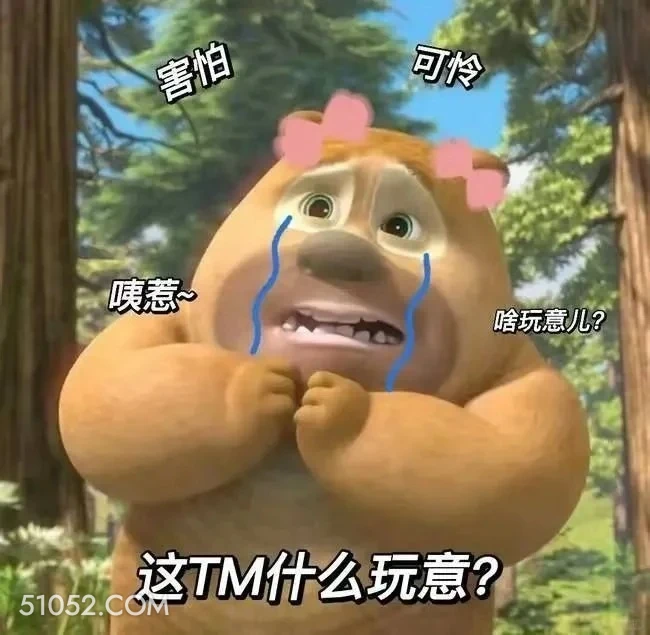 这什么玩意 熊出没 动画片 熊大熊二 光头强 搞笑表情