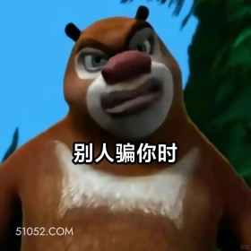 别人骗你时 熊出没 动画片 熊大熊二 光头强 搞笑表情